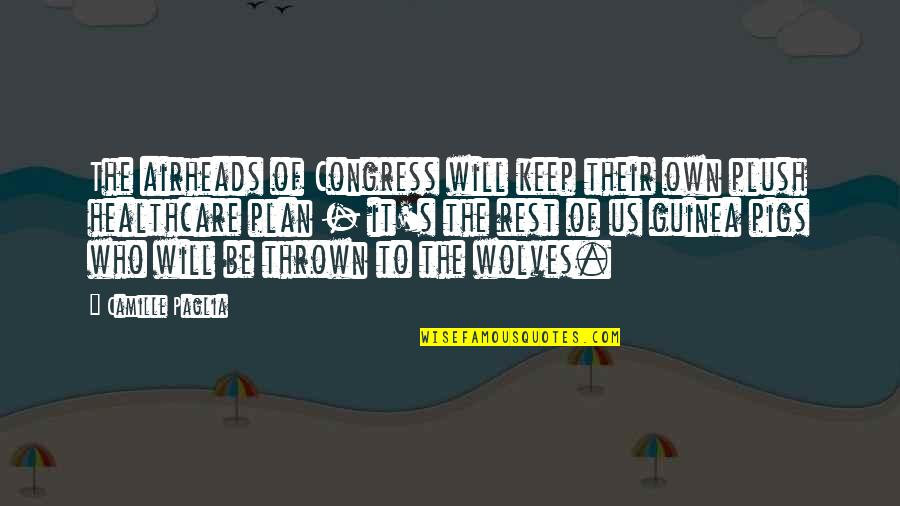 Guinea Pigs Quotes By Camille Paglia: The airheads of Congress will keep their own Guinea Pigs Quotes By Camille Paglia: The airheads of Congress will keep their own