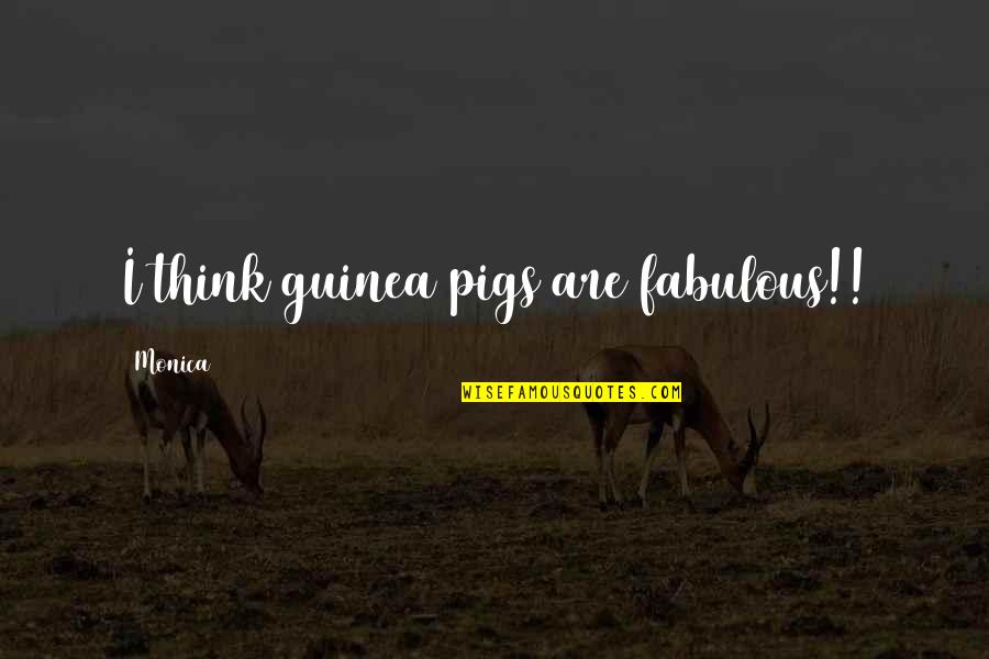 Guinea Pigs Quotes By Monica: I think guinea pigs are fabulous!! Guinea Pigs Quotes By Monica: I think guinea pigs are fabulous!!