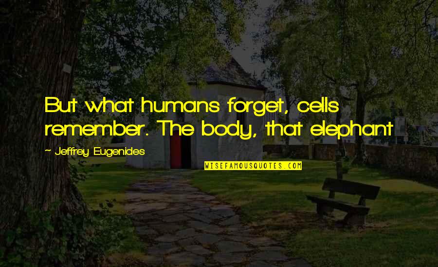 Guisando Willie Quotes By Jeffrey Eugenides: But what humans forget, cells remember. The body,