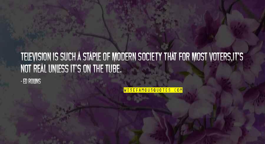 Gujarat Riots Quotes By Ed Rollins: Television is such a staple of modern society