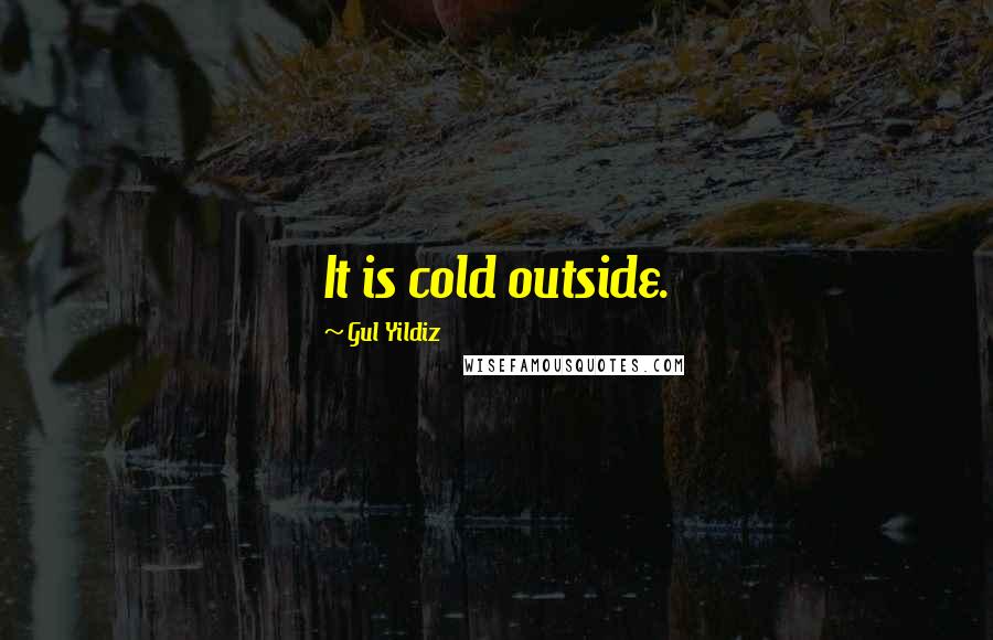 Gul Yildiz quotes: It is cold outside.