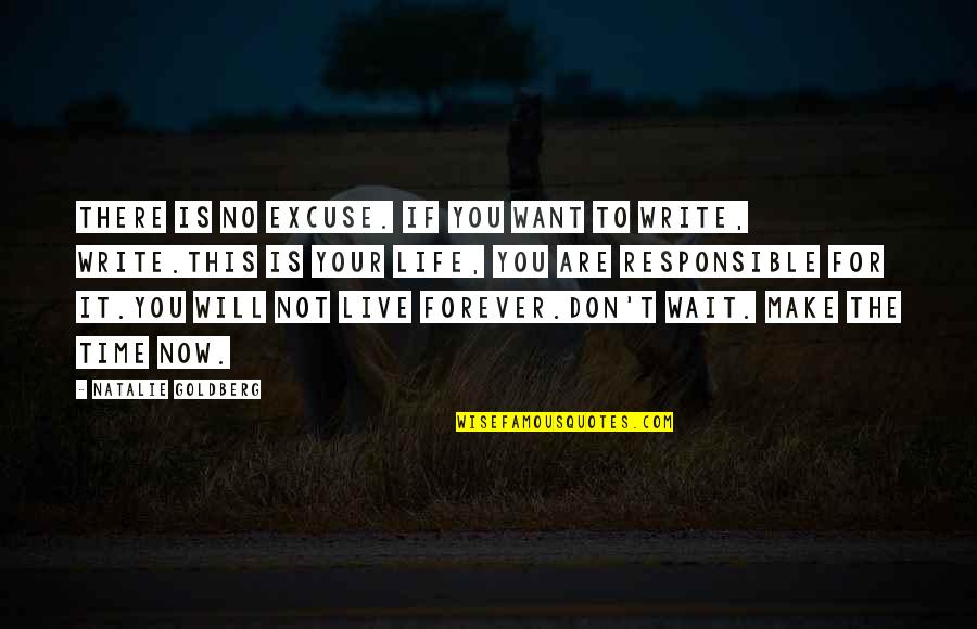 Gulags Video Quotes By Natalie Goldberg: There is no excuse. If you want to Gulags Video Quotes By Natalie Goldberg: There is no excuse. If you want to