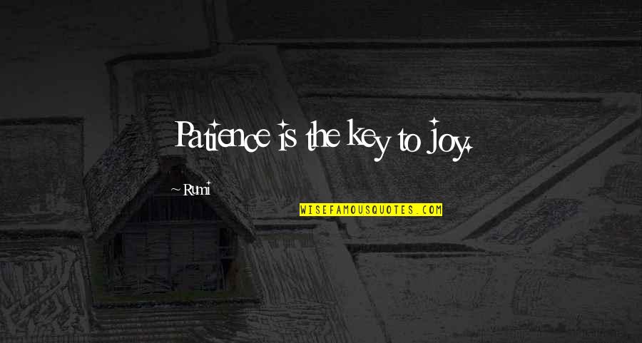 Gulden Middenweg Quotes By Rumi: Patience is the key to joy.