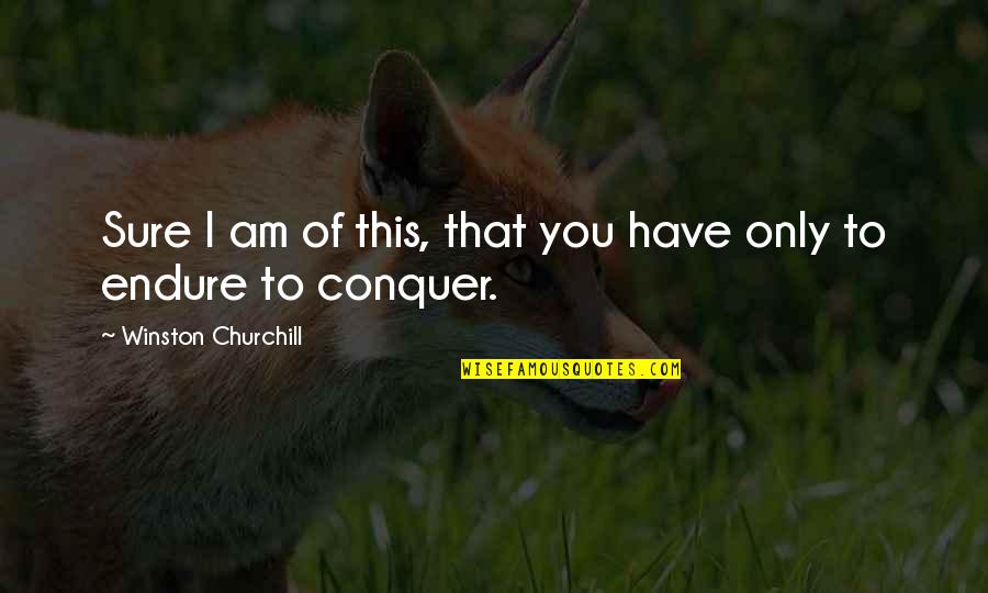 Guldensporenstadion Quotes By Winston Churchill: Sure I am of this, that you have