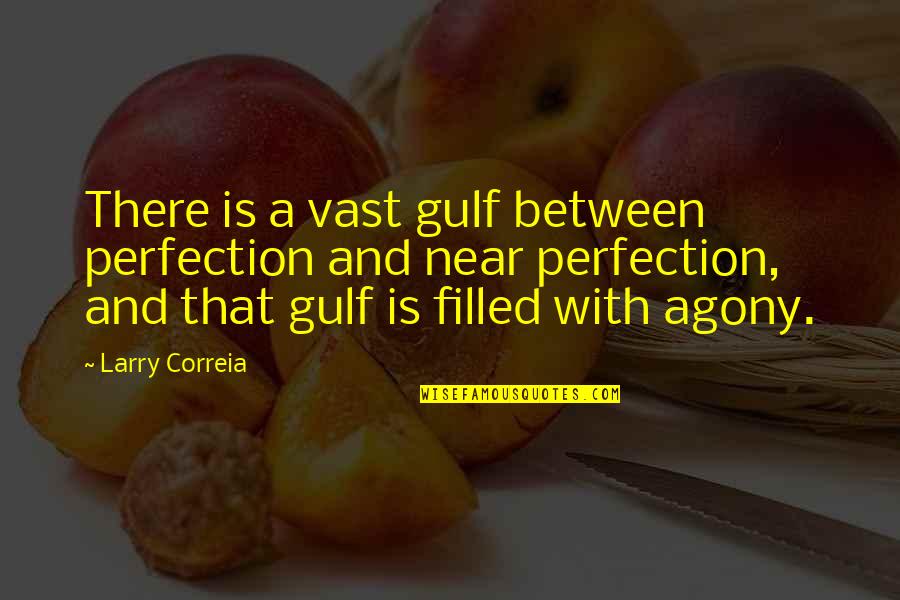 Gulf Quotes By Larry Correia: There is a vast gulf between perfection and