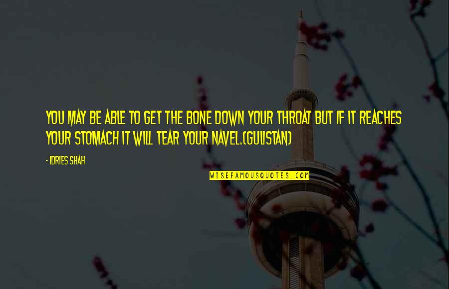 Gulistan Saadi Quotes By Idries Shah: You may be able to get the bone
