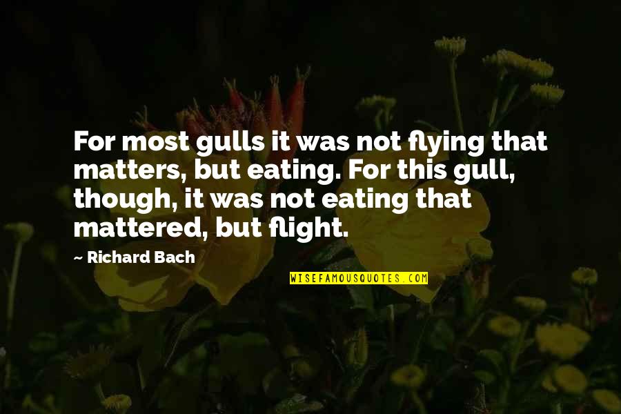 Gull Quotes By Richard Bach: For most gulls it was not flying that Gull Quotes By Richard Bach: For most gulls it was not flying that