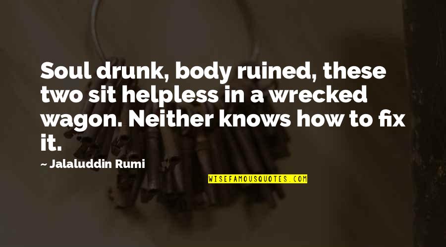 Gullerin Quotes By Jalaluddin Rumi: Soul drunk, body ruined, these two sit helpless
