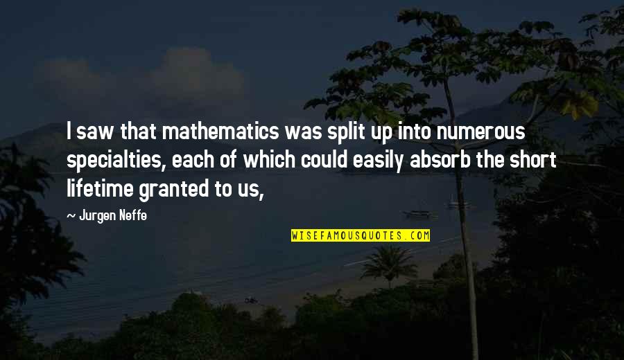Gullikson Quotes By Jurgen Neffe: I saw that mathematics was split up into