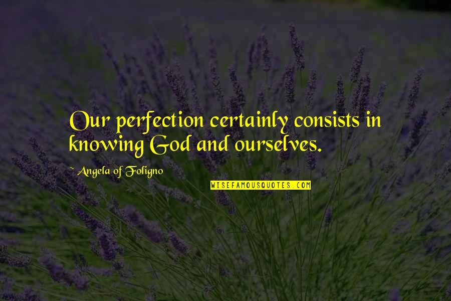 Gulphe Quotes By Angela Of Foligno: Our perfection certainly consists in knowing God and