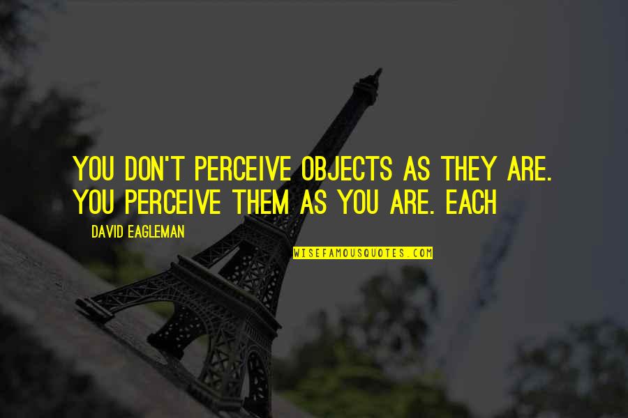Gulsahin Quotes By David Eagleman: You don't perceive objects as they are. You