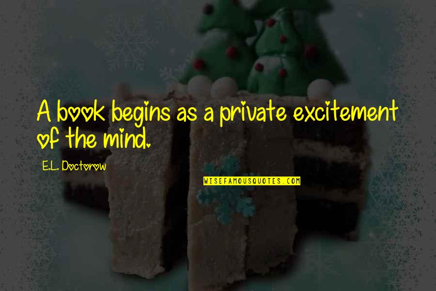 Gumersindo Pardo Quotes By E.L. Doctorow: A book begins as a private excitement of Gumersindo Pardo Quotes By E.L. Doctorow: A book begins as a private excitement of