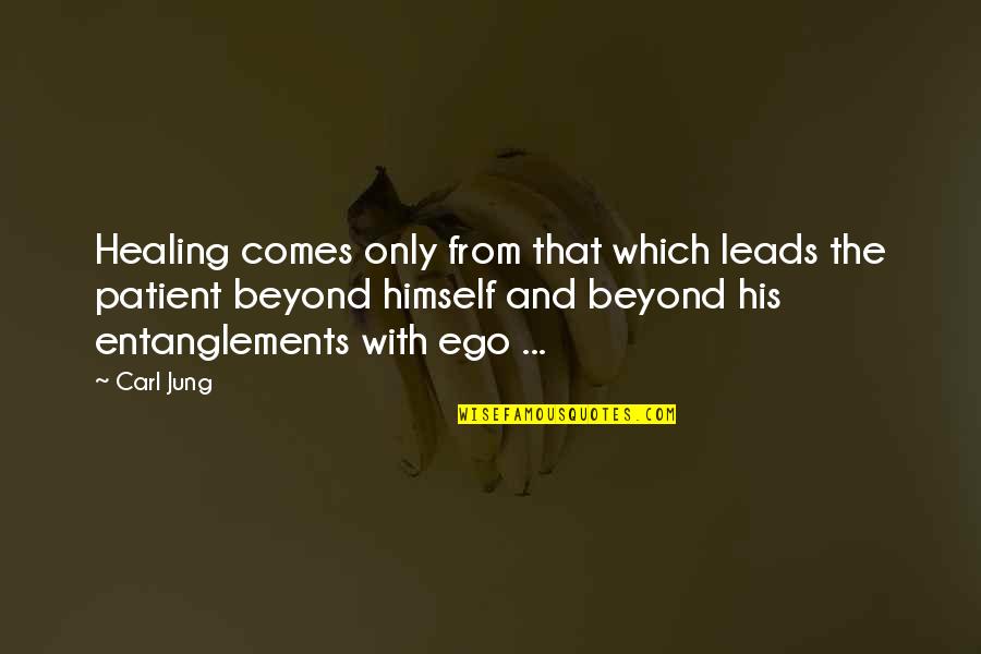 Gumesi Quotes By Carl Jung: Healing comes only from that which leads the Gumesi Quotes By Carl Jung: Healing comes only from that which leads the