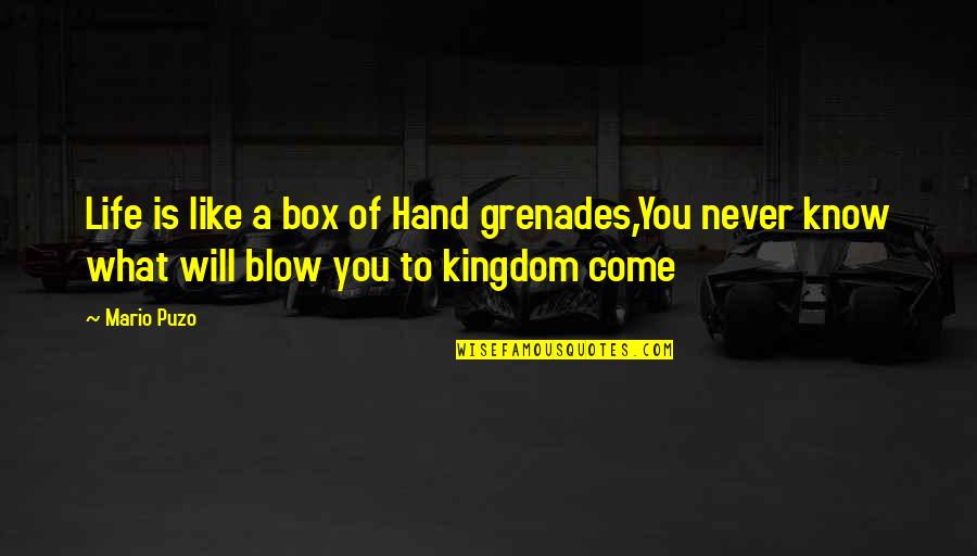 Gump Quotes By Mario Puzo: Life is like a box of Hand grenades,You