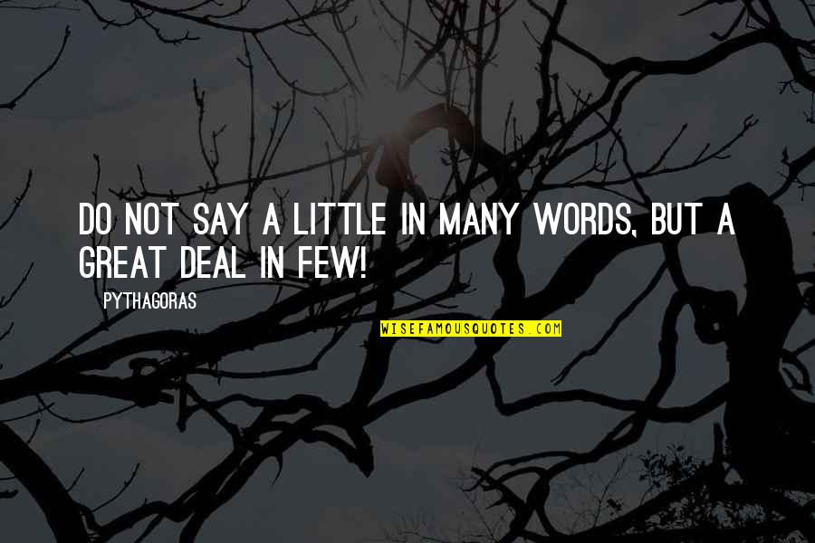 Gumwood Quotes By Pythagoras: Do not say a little in many words,