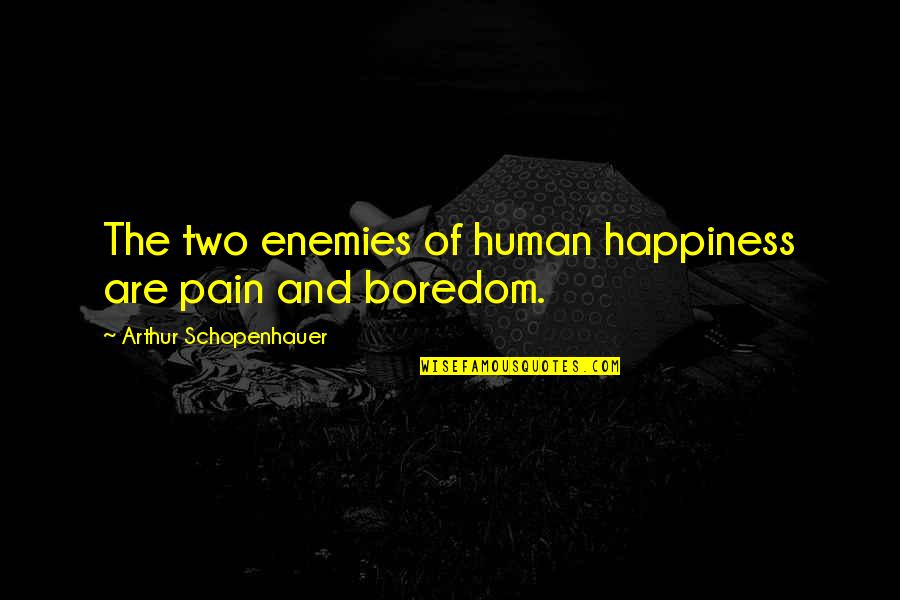 Gun Control Hitler Quotes By Arthur Schopenhauer: The two enemies of human happiness are pain