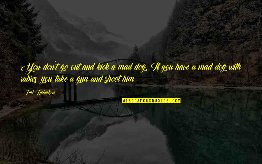 Gun Shoot Quotes By Pat Robertson: You don't go out and kick a mad