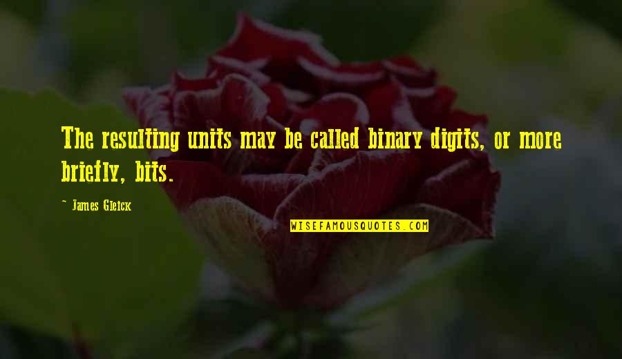 Gundtoft Kolding Quotes By James Gleick: The resulting units may be called binary digits,
