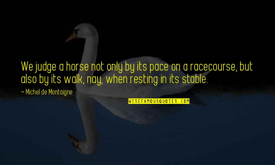Gunilla Garson Goldberg Quotes By Michel De Montaigne: We judge a horse not only by its
