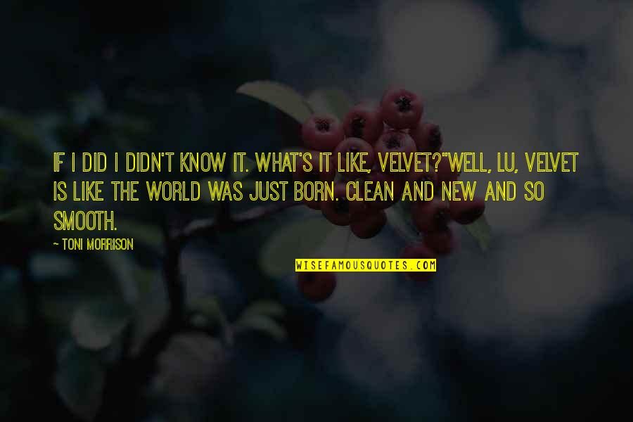 Gunkan Quotes By Toni Morrison: If I did I didn't know it. What's
