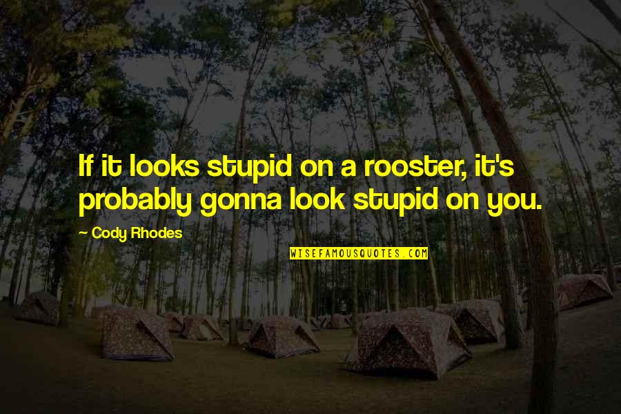 Gunnar Asplund Quotes By Cody Rhodes: If it looks stupid on a rooster, it's