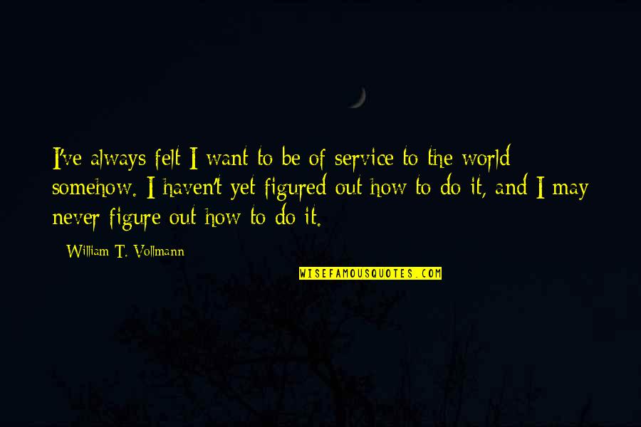 Gunnar Optiks Quotes By William T. Vollmann: I've always felt I want to be of