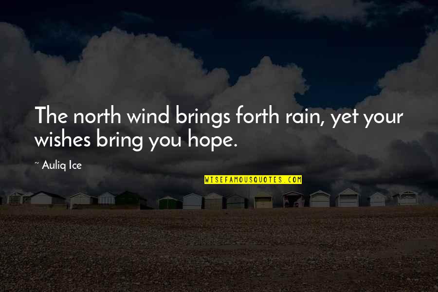Gunned Quotes By Auliq Ice: The north wind brings forth rain, yet your