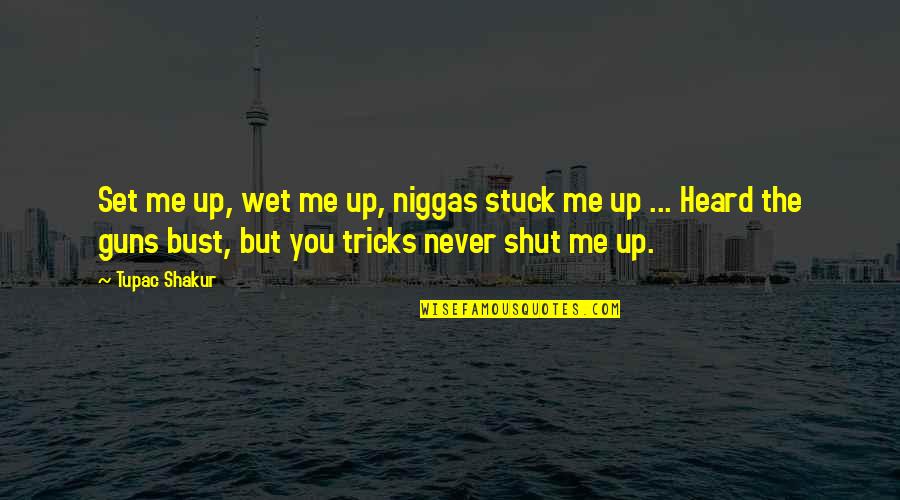 Guns Quotes By Tupac Shakur: Set me up, wet me up, niggas stuck