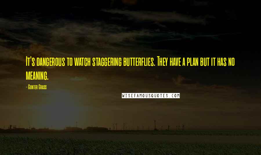 Gunter Grass quotes: It's dangerous to watch staggering butterflies. They have a plan but it has no meaning.