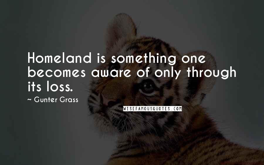 Gunter Grass quotes: Homeland is something one becomes aware of only through its loss.