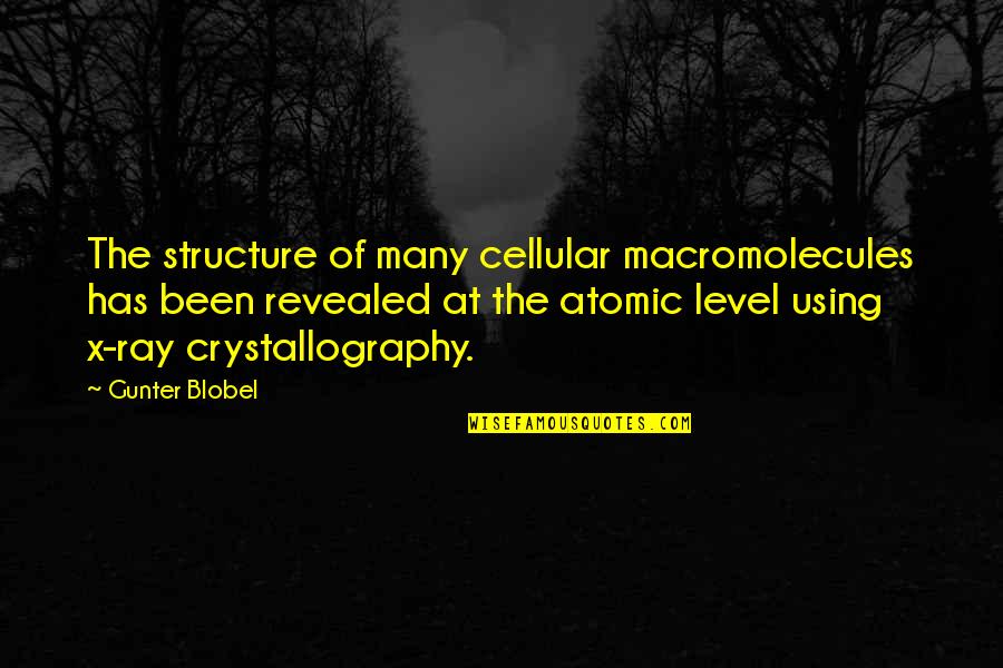 Gunter Quotes By Gunter Blobel: The structure of many cellular macromolecules has been Gunter Quotes By Gunter Blobel: The structure of many cellular macromolecules has been