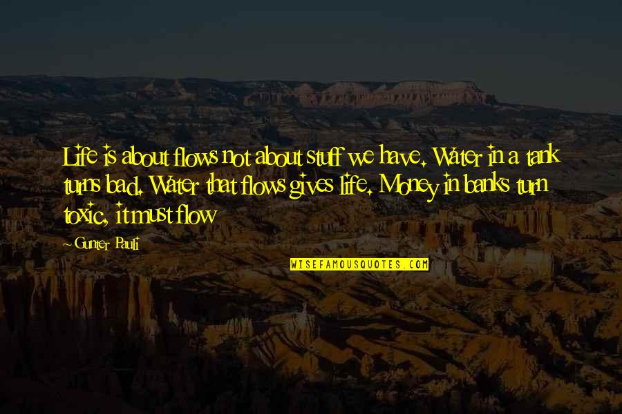 Gunter Quotes By Gunter Pauli: Life is about flows not about stuff we Gunter Quotes By Gunter Pauli: Life is about flows not about stuff we