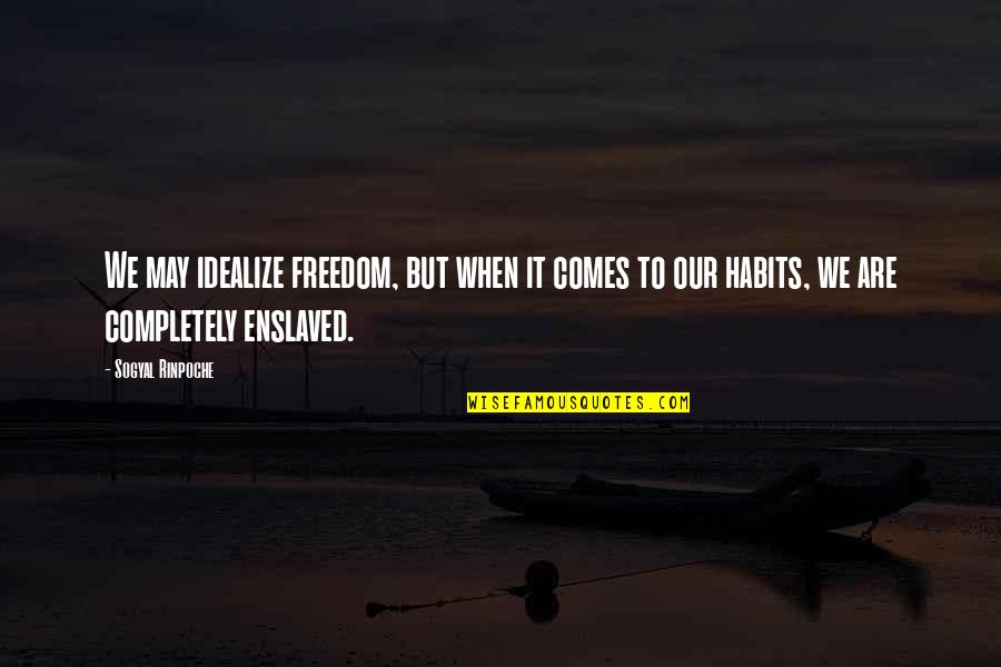 Guntons Quotes By Sogyal Rinpoche: We may idealize freedom, but when it comes