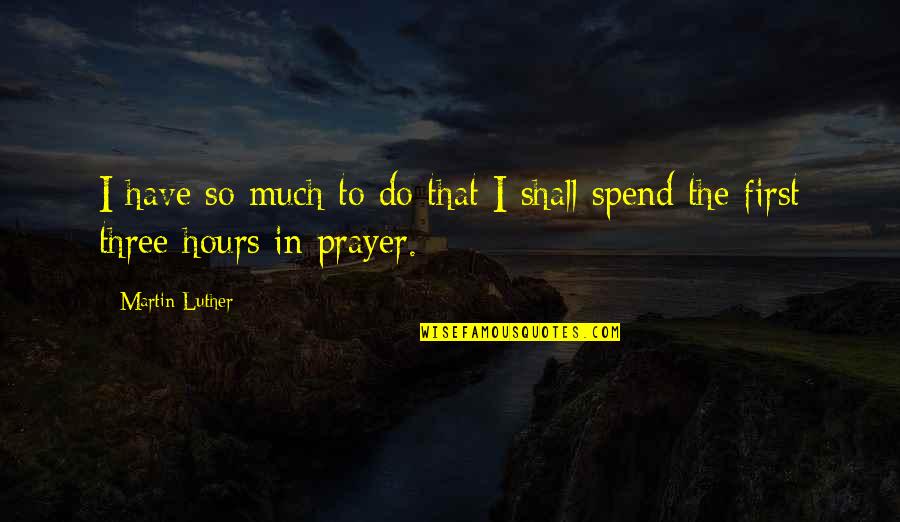 Gurmani Muzaffargarh Quotes By Martin Luther: I have so much to do that I