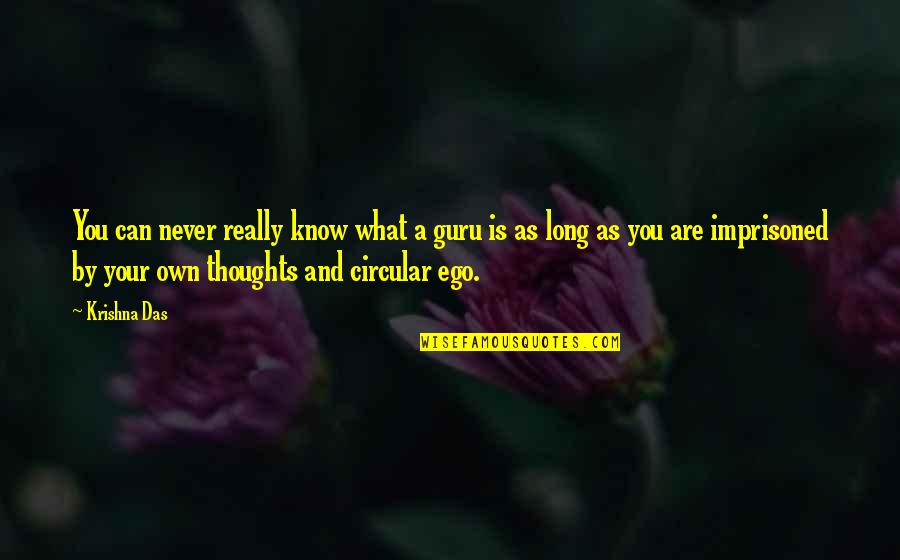Guru Guru Quotes By Krishna Das: You can never really know what a guru