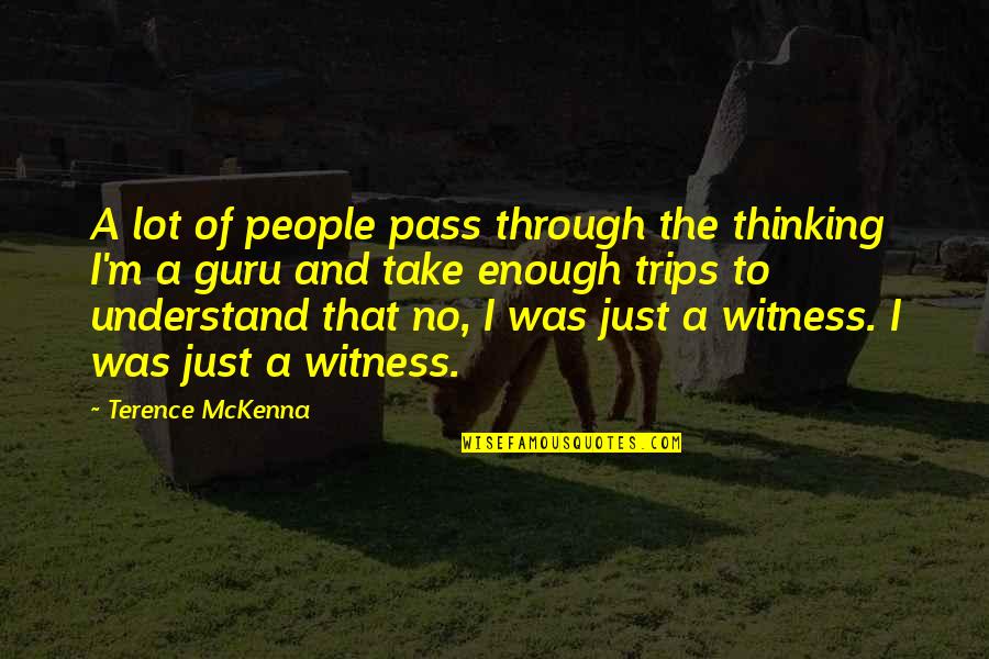 Guru Guru Quotes By Terence McKenna: A lot of people pass through the thinking