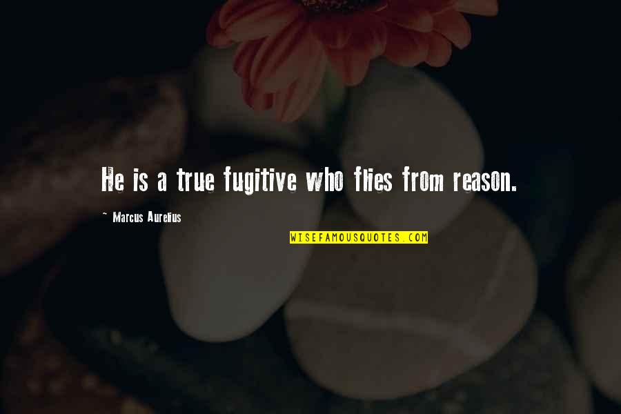Gustafson Stadium Quotes By Marcus Aurelius: He is a true fugitive who flies from