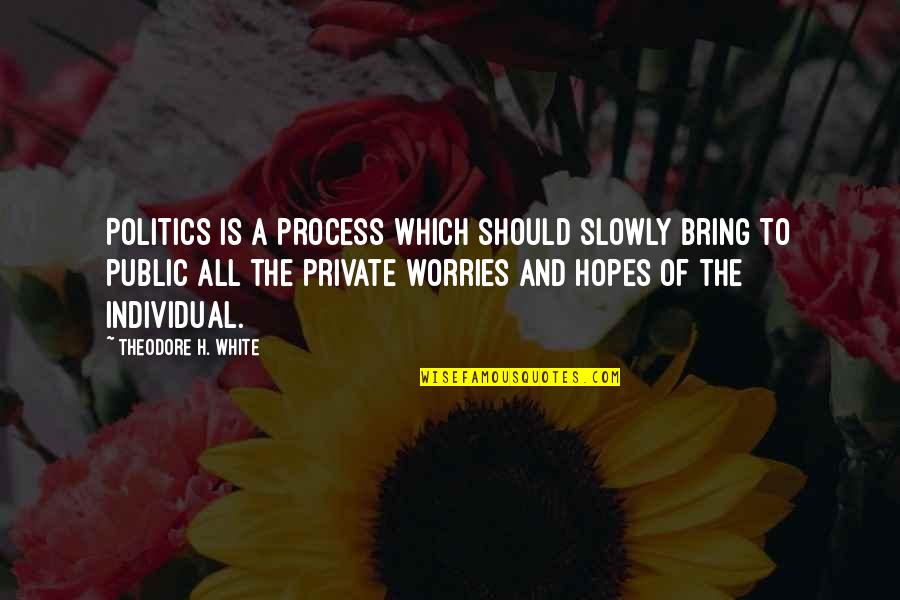 Gustava Alaska Quotes By Theodore H. White: Politics is a process which should slowly bring
