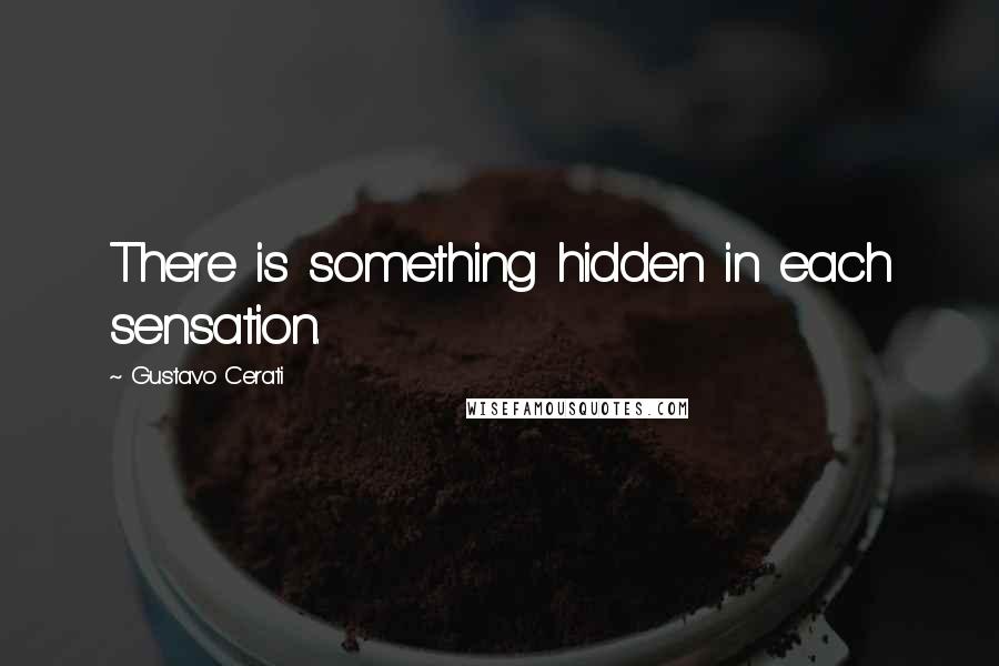 Gustavo Cerati quotes: There is something hidden in each sensation.