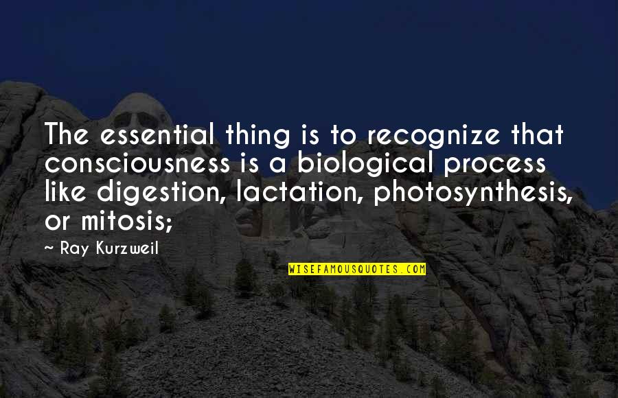 Gustloff Obersalzberg Quotes By Ray Kurzweil: The essential thing is to recognize that consciousness