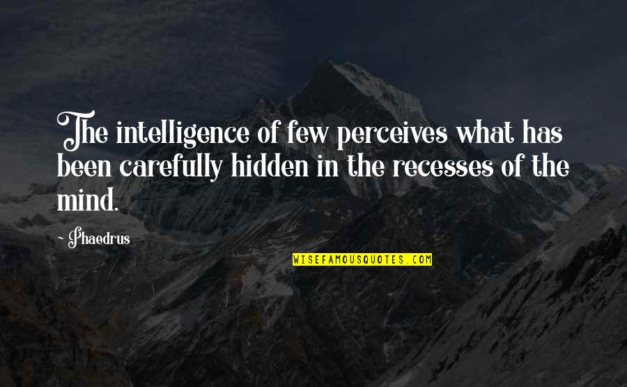 Gusttavo Lima Quotes By Phaedrus: The intelligence of few perceives what has been