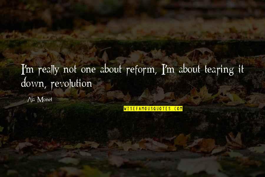 Gusturi Quotes By Aja Monet: I'm really not one about reform, I'm about