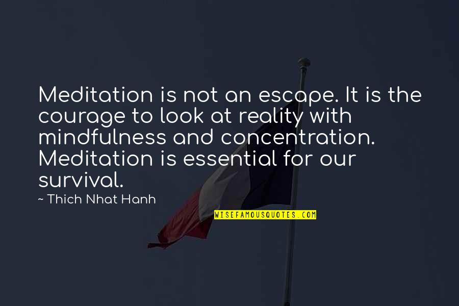 Gutom At Malnutrisyon Quotes By Thich Nhat Hanh: Meditation is not an escape. It is the
