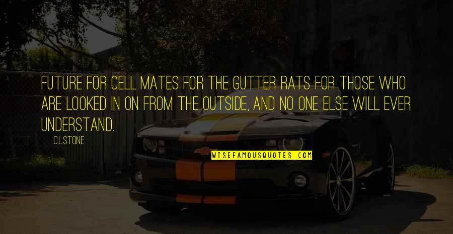 Gutter Quotes By C.L.Stone: Future For cell mates For the gutter rats