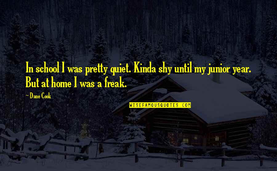 Gutties Quotes By Dane Cook: In school I was pretty quiet. Kinda shy