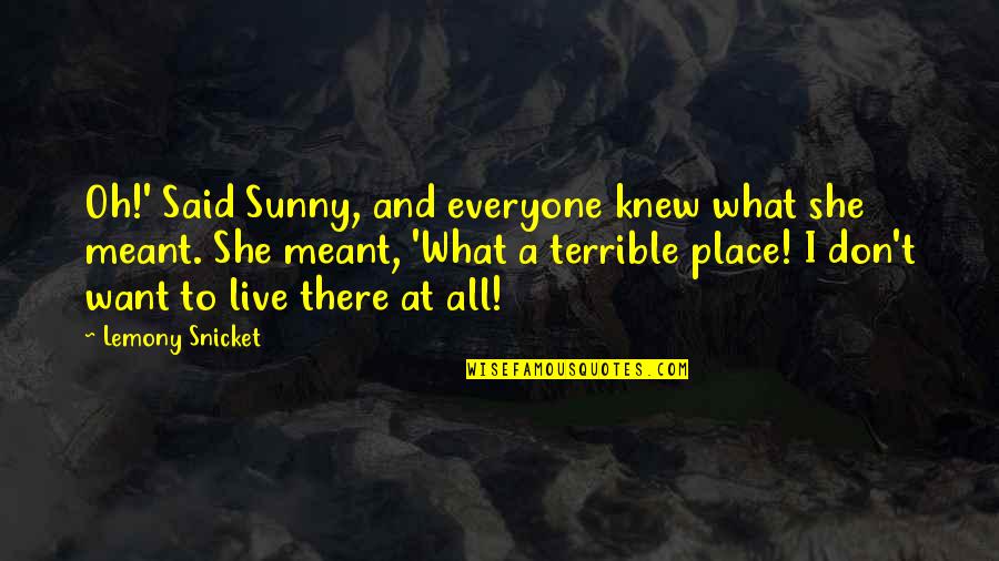 Guttilla Alta Quotes By Lemony Snicket: Oh!' Said Sunny, and everyone knew what she