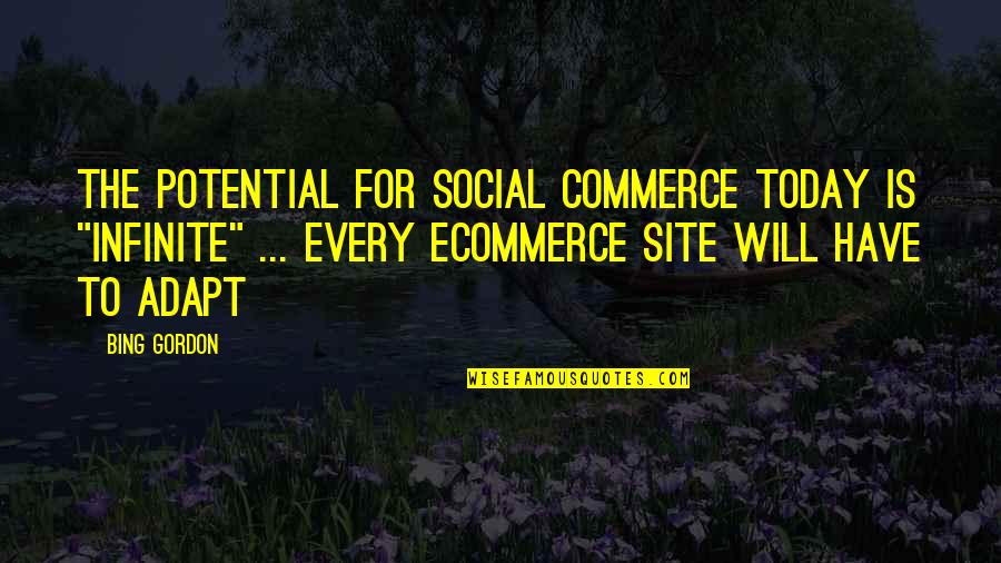 Guy Corneau Quotes By Bing Gordon: The potential for social commerce today is "infinite"