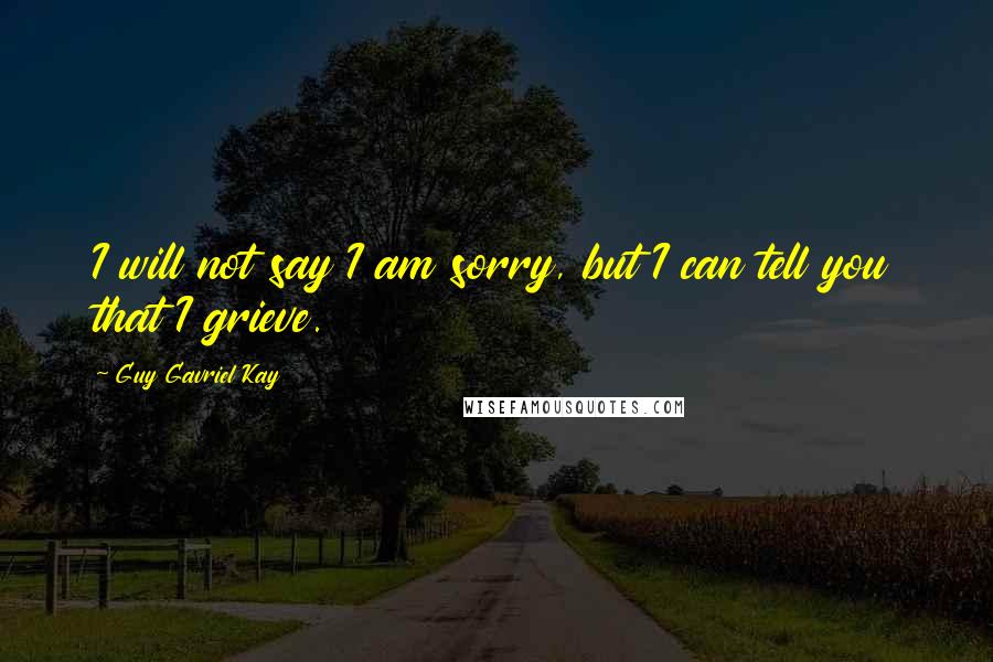 Guy Gavriel Kay quotes: I will not say I am sorry, but I can tell you that I grieve.
