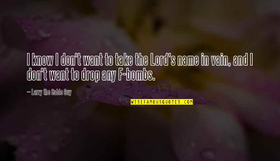Guy I Want Quotes By Larry The Cable Guy: I know I don't want to take the