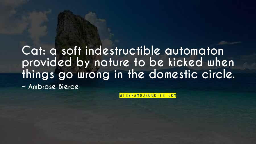 Guy Leech Quotes By Ambrose Bierce: Cat: a soft indestructible automaton provided by nature